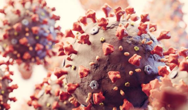 Weergave van het coronavirus