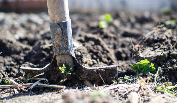 Een spade in de grond, klaar voor gebruik