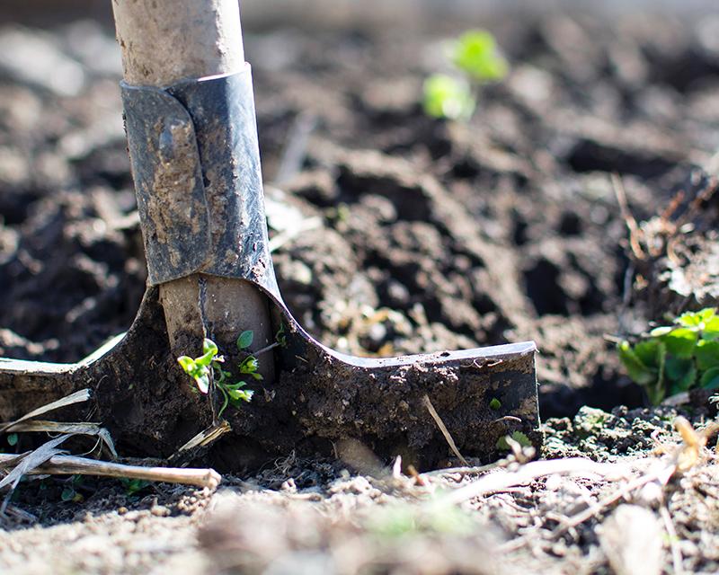 Een spade in de grond, klaar voor gebruik