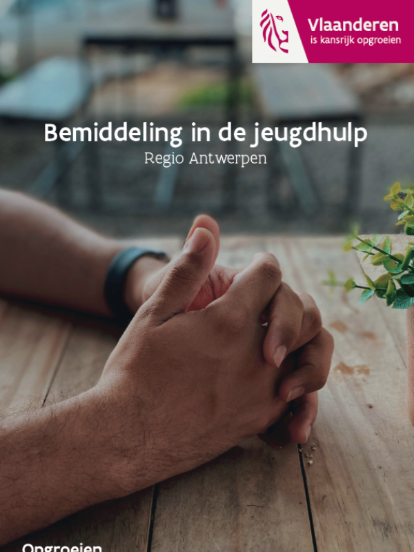 coverbeeld van folder bemiddeling